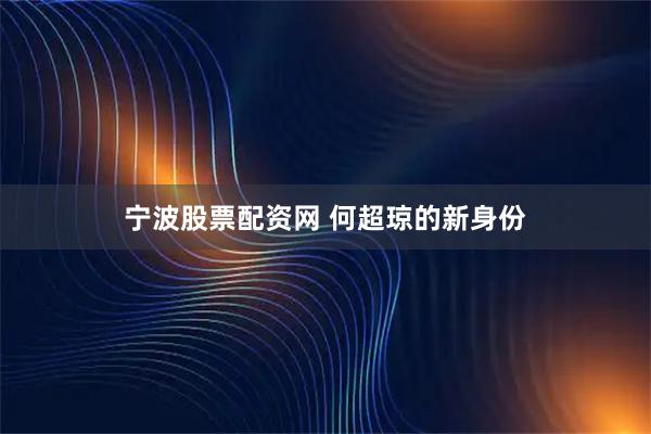 宁波股票配资网 何超琼的新身份