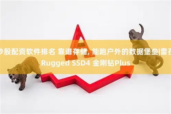 炒股配资软件排名 靠谱存储, 能跑户外的数据堡垒|雷孜Rugged SSD4 金刚钻Plus