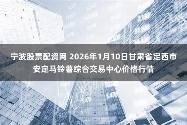 宁波股票配资网 2026年1月10日甘肃省定西市安定马铃薯综合交易中心价格行情
