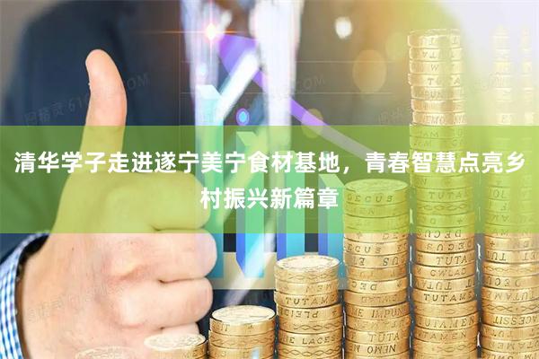 清华学子走进遂宁美宁食材基地，青春智慧点亮乡村振兴新篇章