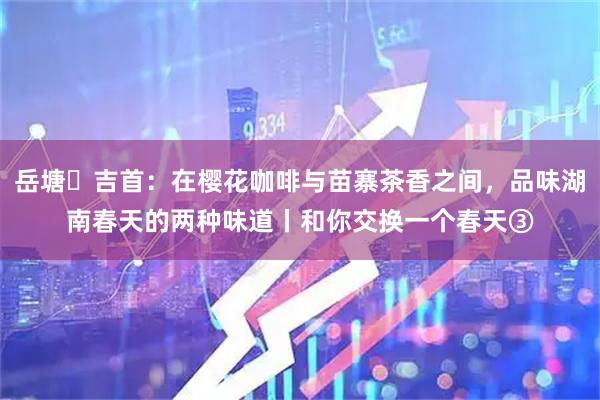 岳塘⇌吉首：在樱花咖啡与苗寨茶香之间，品味湖南春天的两种味道丨和你交换一个春天③