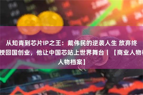 从知青到芯片IP之王：戴伟民的逆袭人生 放弃终身教授回国创业，他让中国芯站上世界舞台丨【商业人物档案】